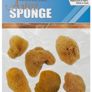 R2114  SMALL SILK SPONGE PACK X 6