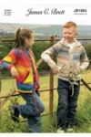 James C Brett Pattern 1004
